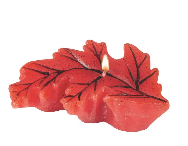Red and Yellow Fall Leaf Floats