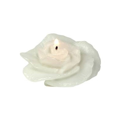 White Rose Floating Candle-Box of 12