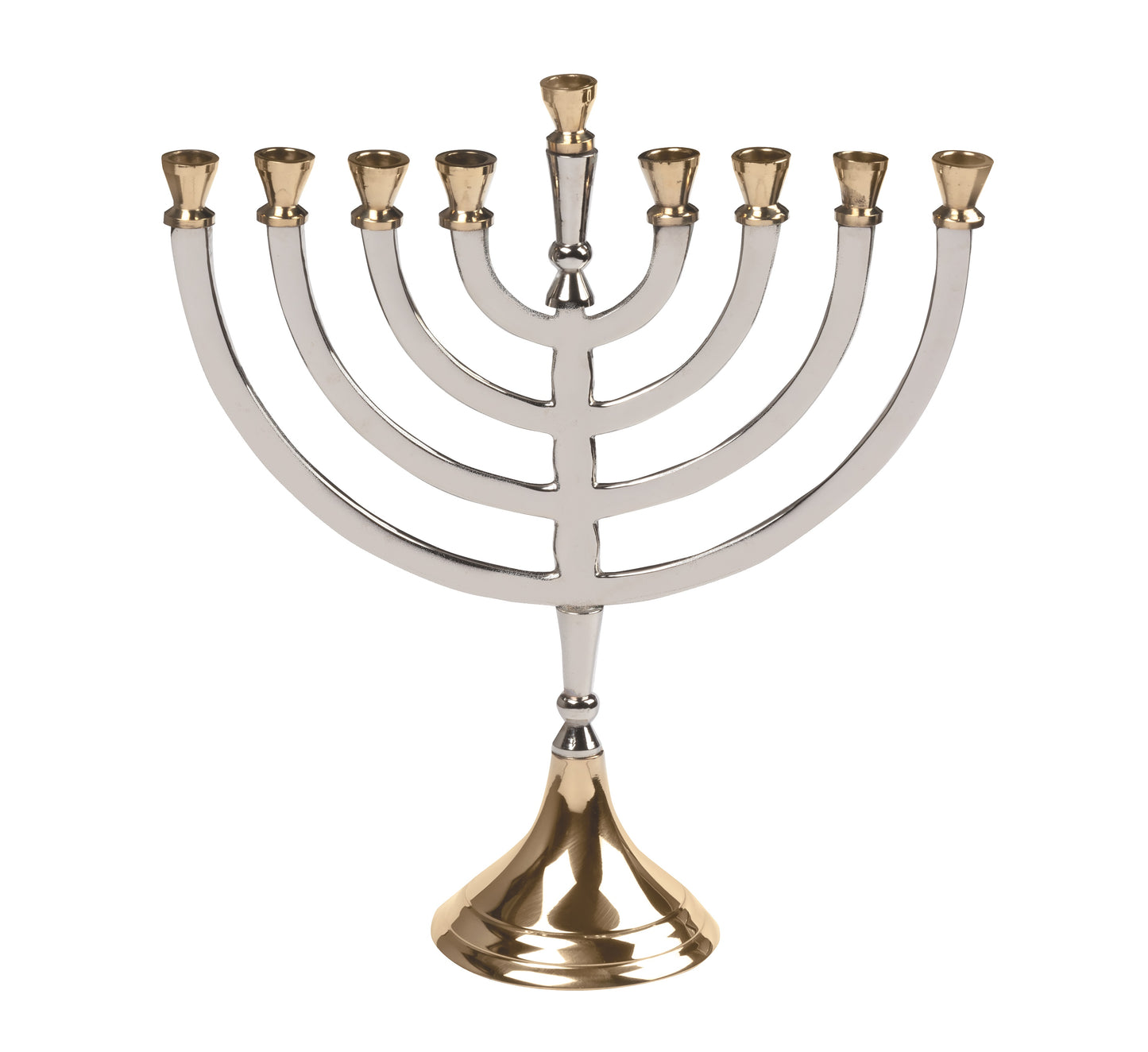 Shiny Silver & Brass Menorah