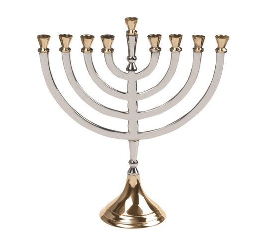 Shiny Silver & Brass Menorah